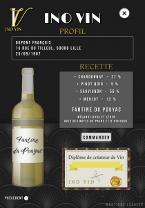 Maquette Site Web inovin - Fiche finale