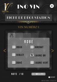 Maquette Site Web inovin - Degustation - Création webdesign et digitale – Anne Marchasson infographiste